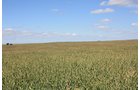 Property photo 79 - LAND AUCTION, 3255+/- Acres offered in 13 Tracts